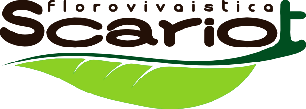 Logo Vivaio Scariot